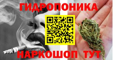 jwh Ливны