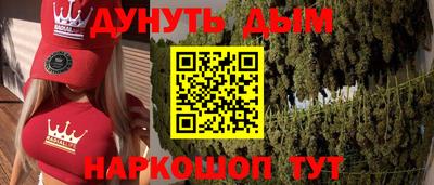 индика Лесосибирск