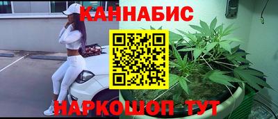 индика Лесосибирск