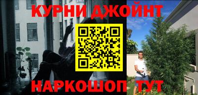 индика Лесосибирск