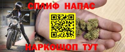 индика Лесосибирск