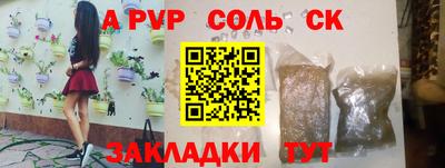 индика Лесосибирск