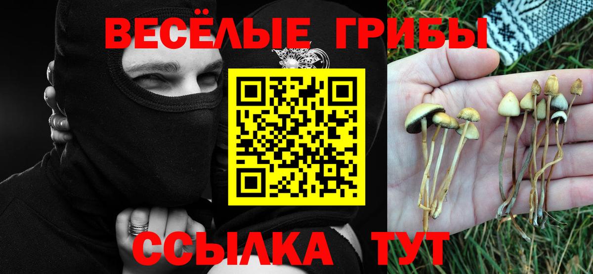 Видное  Галлюциногенные грибы мухоморы  Вход с VPN  Галлюциногенные грибы MAGIC MUSHROOMS 