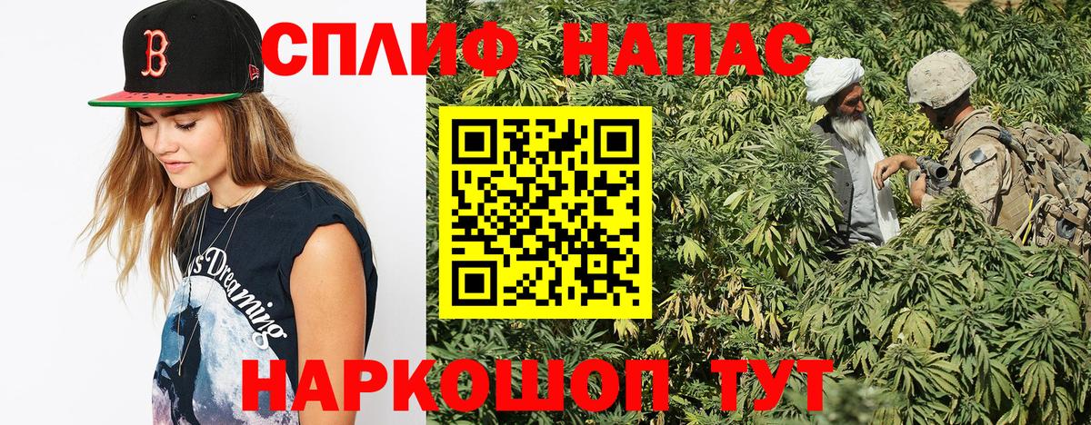 Шишки марихуана ГИДРОПОН  Каннабис VHQ  Видное  Вход с VPN  Шишки марихуана сатива 